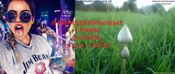 прущая мука Алзамай