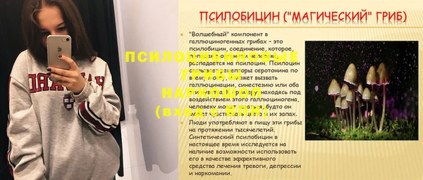 прущая мука Алзамай