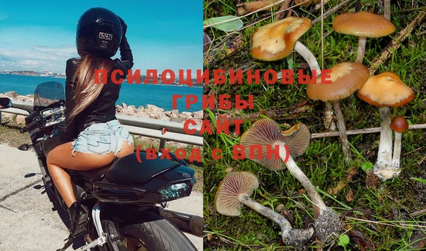 PSILOCYBIN Алексин