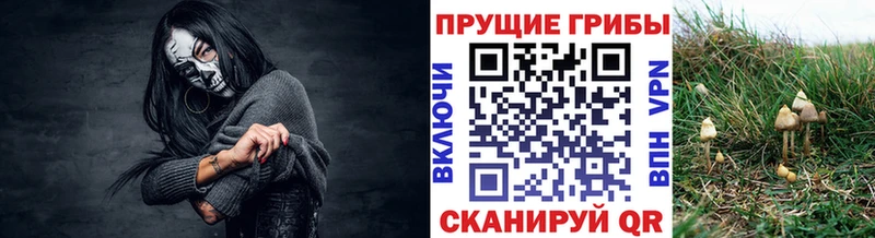 Псилоцибиновые грибы ЛСД  Находка 